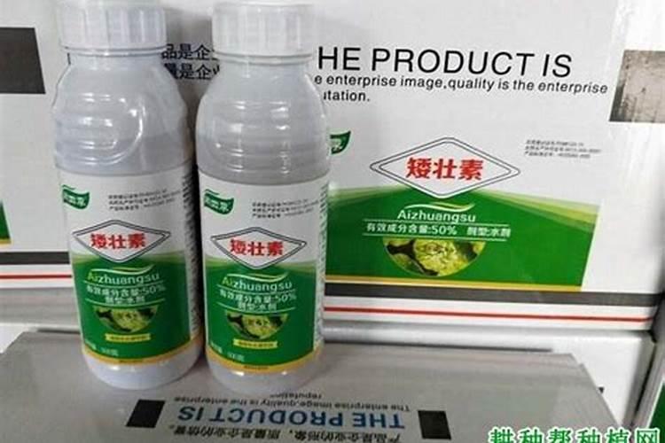 香菜红杆红叶怎么办 香菜红杆红叶怎么处理