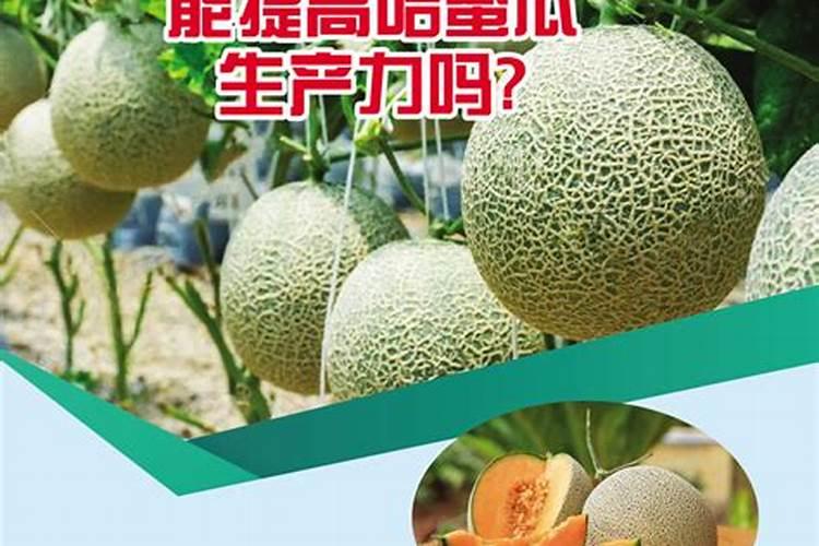 果树撒施肥肥效多长