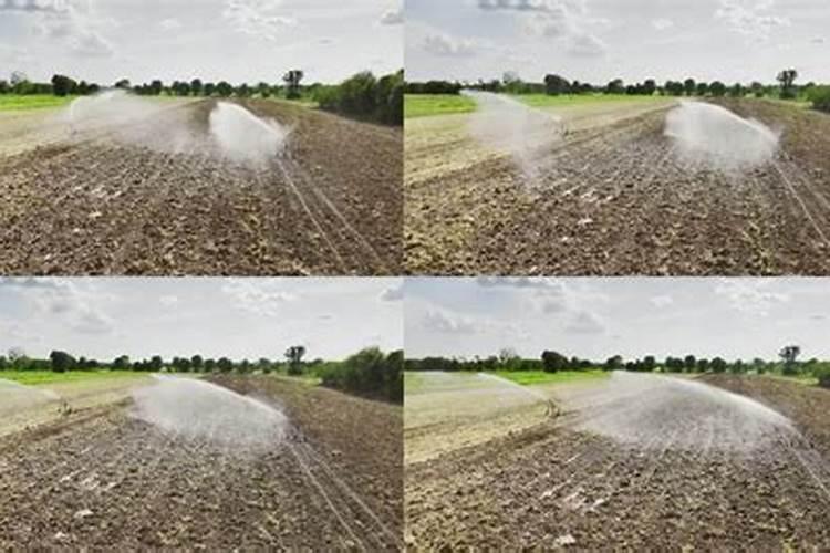 生物钾肥什么时候施用,如何施用