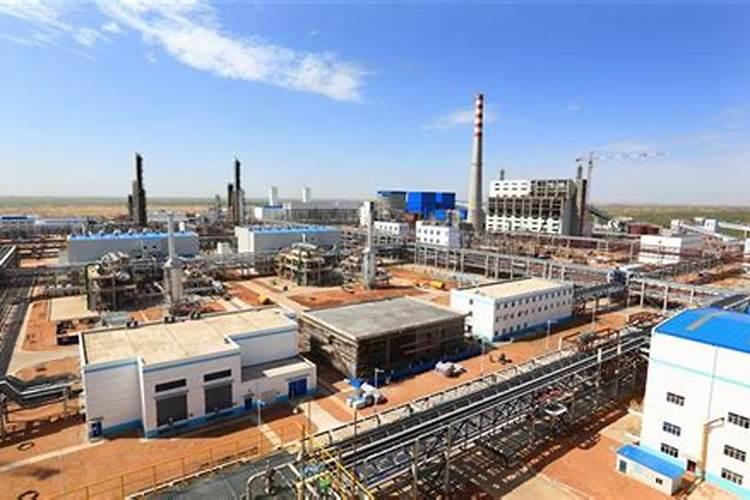 鄂尔多斯地区能大棚种植柚子吗