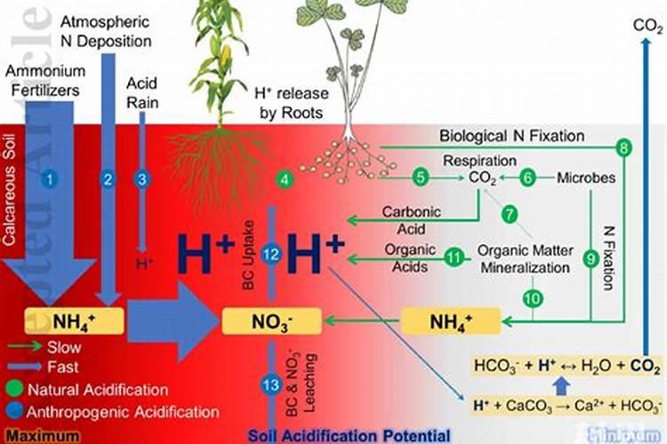 微量元素肥该怎样用？微量元素肥的正确使用方法!