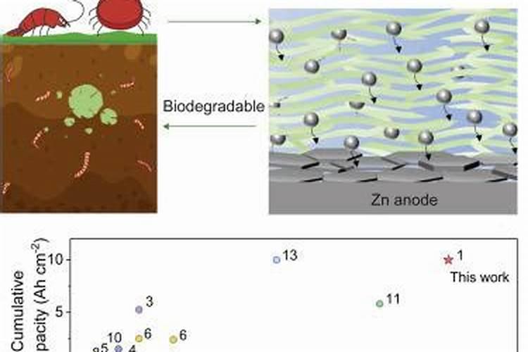 甲壳素肥料有什么功能？使用方法是什么？