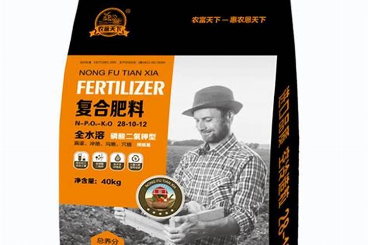 秋天兰花施什么肥料最佳