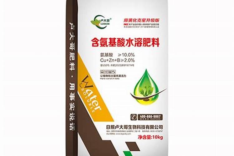 开运竹能长多高？