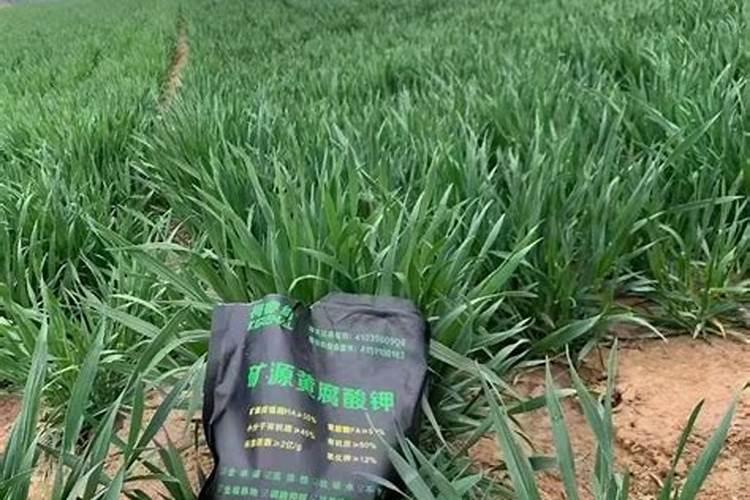 特种肥料和其它肥料有什么区别？