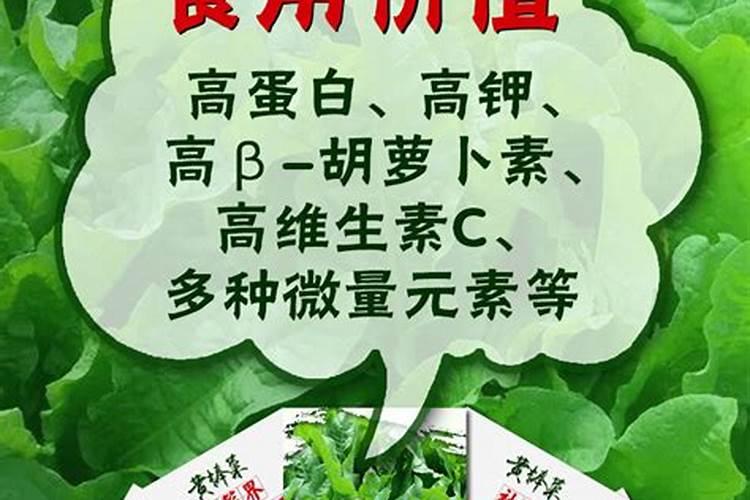 鱼蛋白灌根几天见效