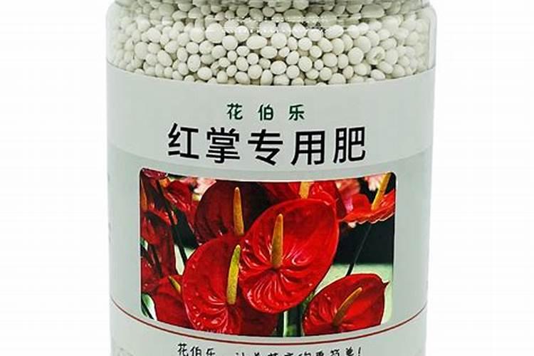 沙漠玫瑰夏季怎么养根茎粗壮？