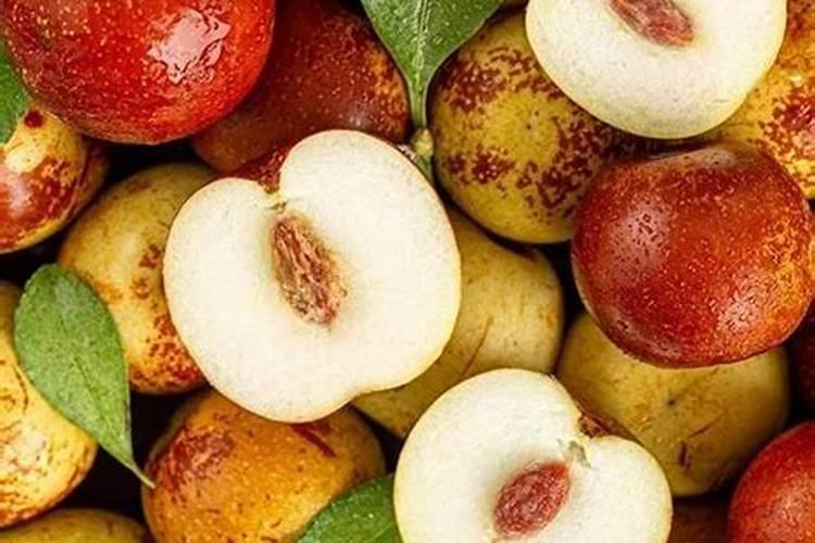 冬枣如何施肥才能高产