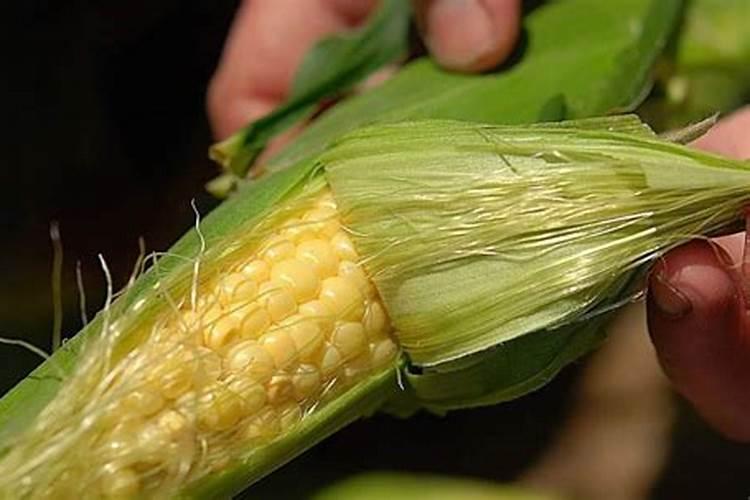 钾肥属不属于有毒有害？