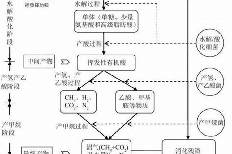 鱼蛋白发酵配方