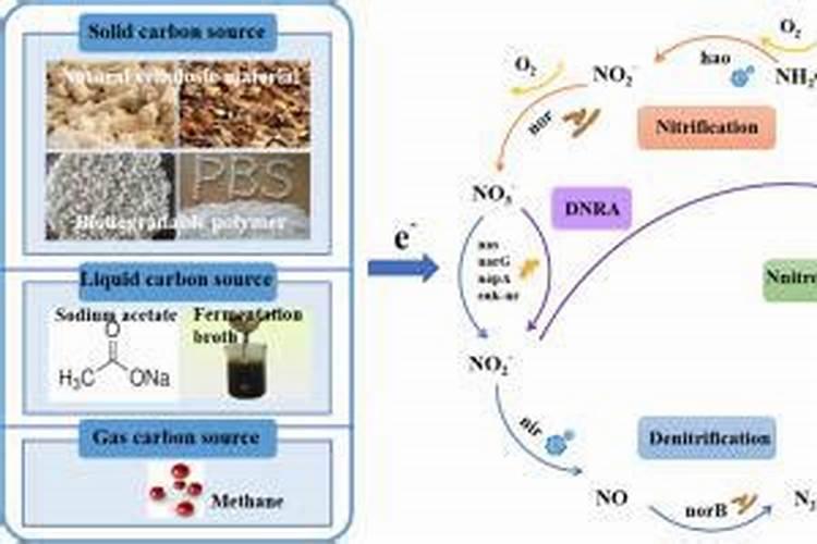 关于鱼缸培养硝化细菌的问题