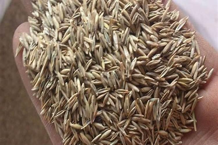 大白菜用什么肥料追肥(上几次肥最好,什么时候用肥)