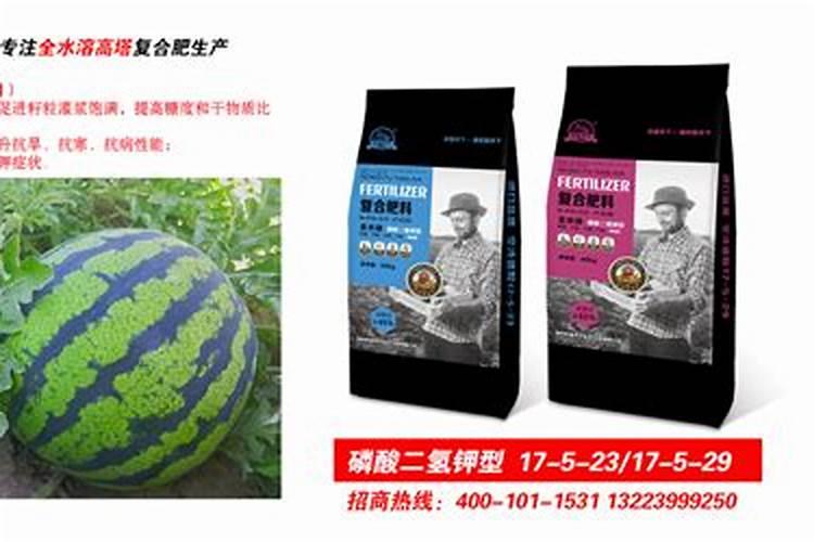 西瓜是一种非常喜钾的作物,那么如何施钾肥,才能使西瓜高产呢？