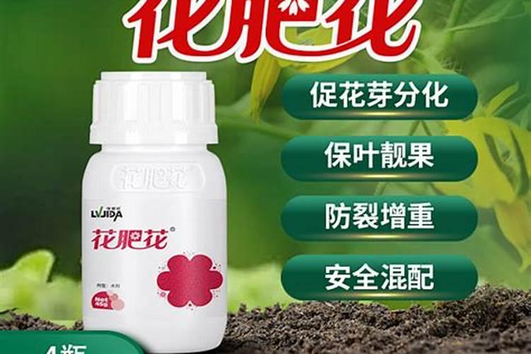 买花肥到哪里买,网上买肥料上什么网