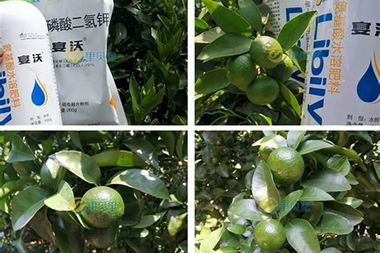 水溶肥什么品牌好？