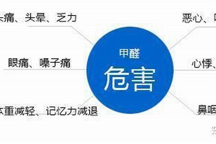 绿萝真的能吸收甲醛吗？