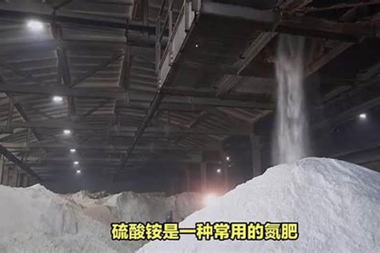 怎样施用硫酸铵？施用时需注意哪些问题？