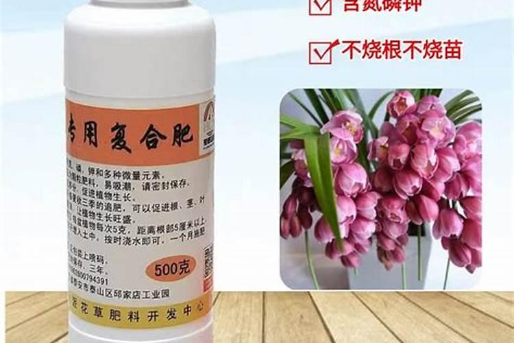 大花蕙兰施肥方法