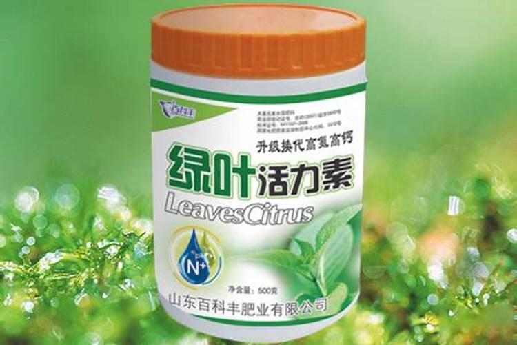 黄瓜叶片如何变绿变厚？
