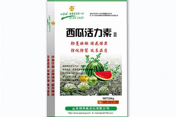 秋冬季栽培小型西瓜如何整地施肥