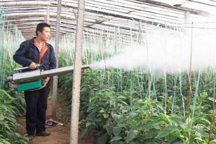 求教一下液体肥料的优点和缺点,液体肥料和固体肥料哪种的可用性更高...