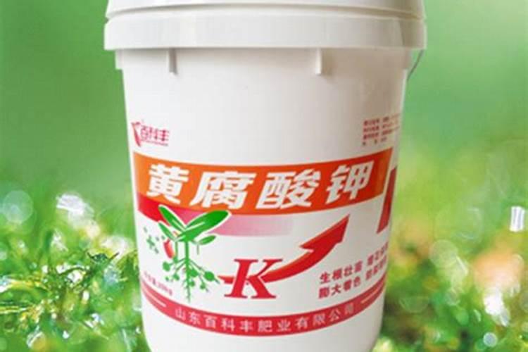 黄腐酸钾化成水剂生根效果怎么样？