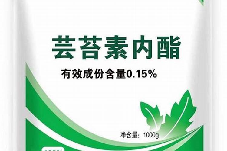 什么肥料促进根系生长