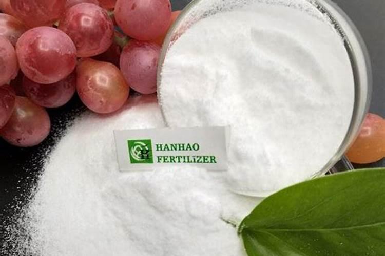 蔷薇花施什么肥最好