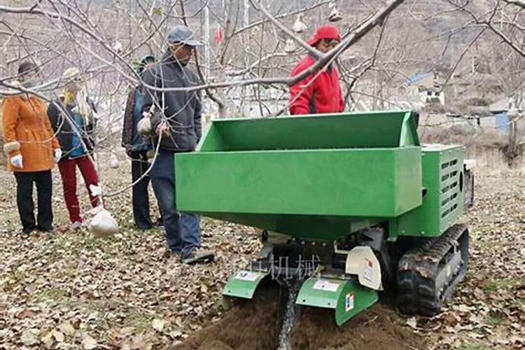 果树保产施肥用哪些措施比较有效
