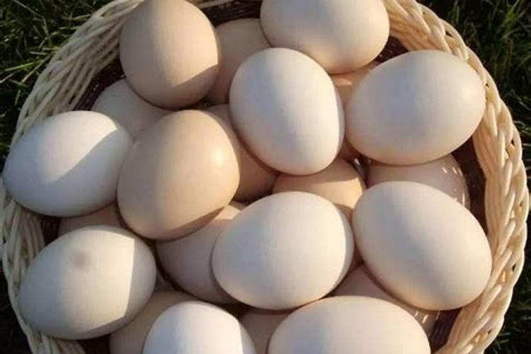 鱼饲料中为什么蛋白含量要比畜禽略高