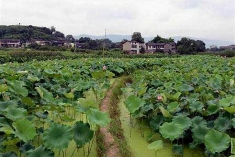 山东联盟化工集团有限公司企业介绍