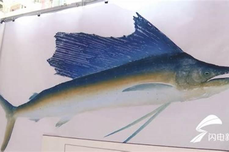 有含碳的叶面肥料吗