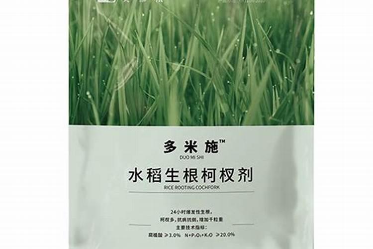 半夏增产叶面肥,生根肥料什么时候用效果好？