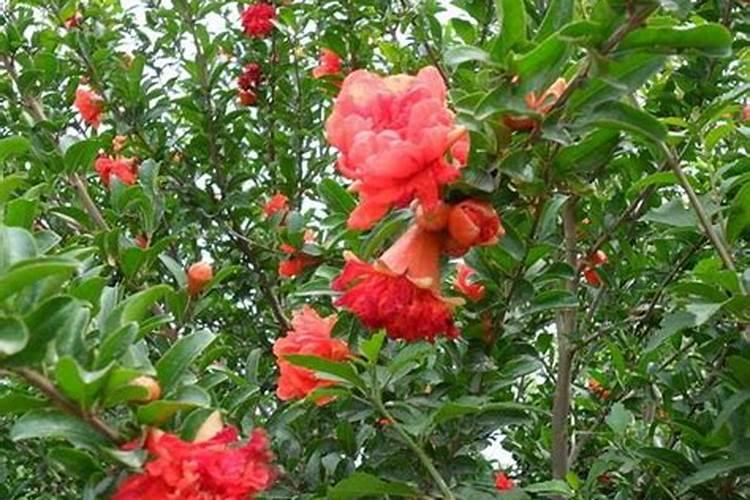 廉江附近哪里有木工做家具的