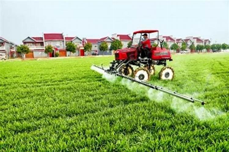 复合肥能泡水浇花吗 复合肥能不能兑水浇花