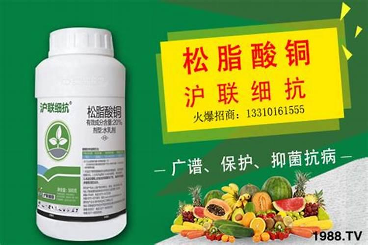 喹啉铜不能和什么药混用