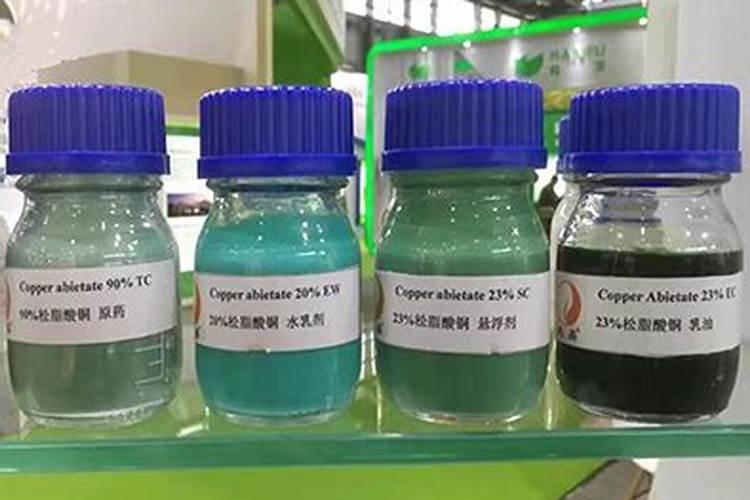 柑橘下半年养护技术重点