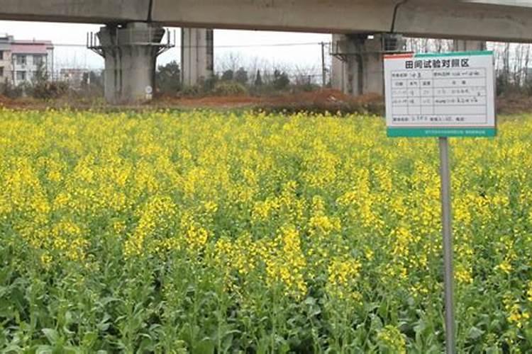 油菜追肥能用硫酸钾复合肥吗？