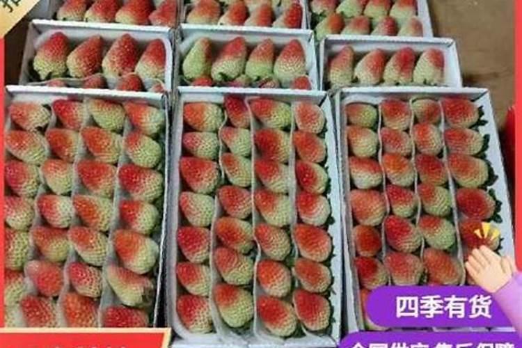 草莓种植施肥技术