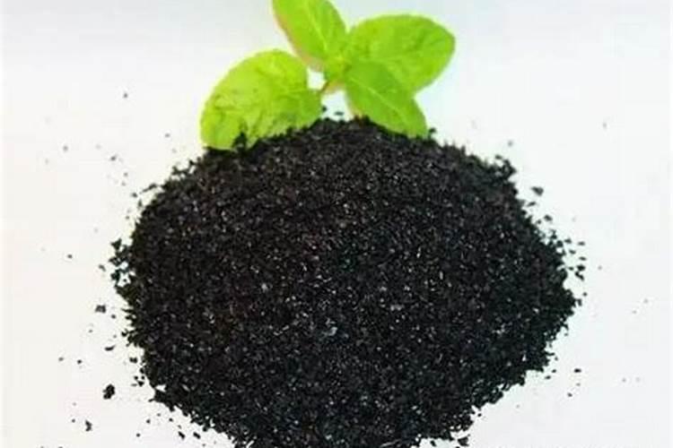 全国最大腐植酸生产厂家