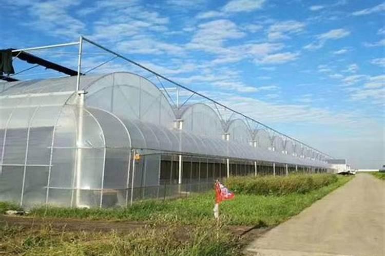 水溶肥十大名牌