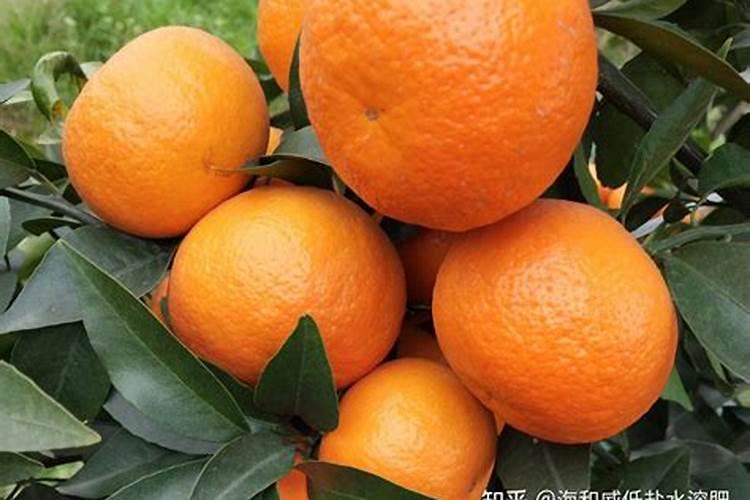 天然的氮磷钾肥有哪些