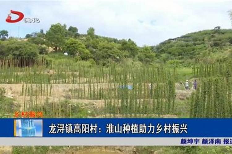 秋季种植淮山什么时候施膨大肥