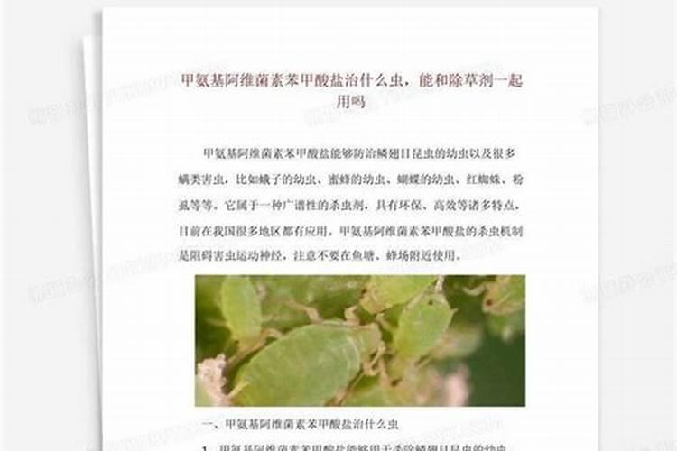 稻心卷叶怎么回事