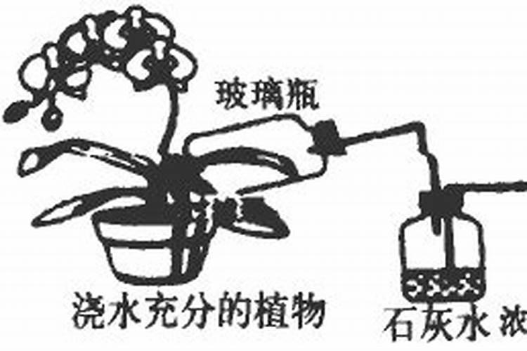 要求全变了,硫酸铵肥料检测全攻略,这些你肯定不知道