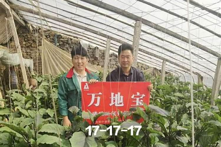 中国十大名牌复合肥