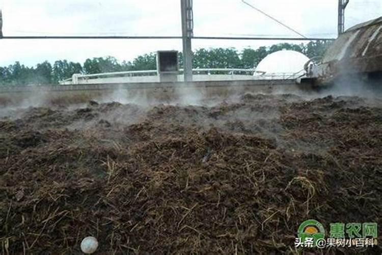 蔬菜堆肥时怎么加入氮和其他元素