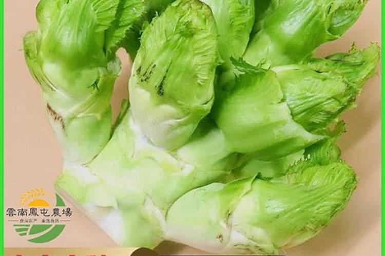 文竹栽培的方法