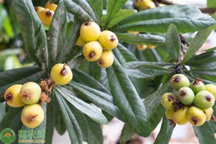 云南金星化工有限公司公司规模