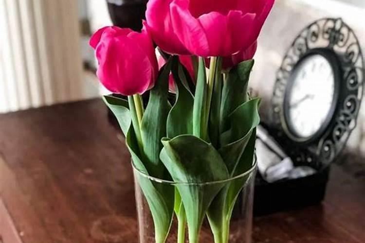 求助,我养的地柏盆景干叶了